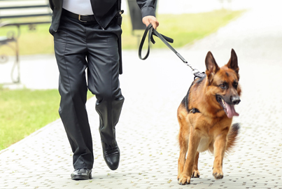 Agent cynophile <br>maître-chien